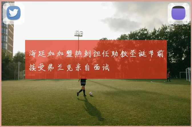 海廷加加盟热刺担任助教圣诞节前接受弗兰克亲自面试