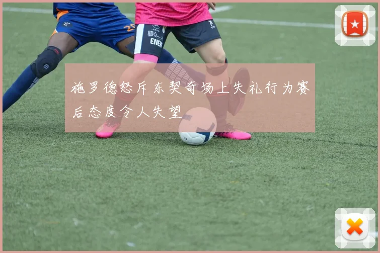 施罗德怒斥东契奇场上失礼行为赛后态度令人失望